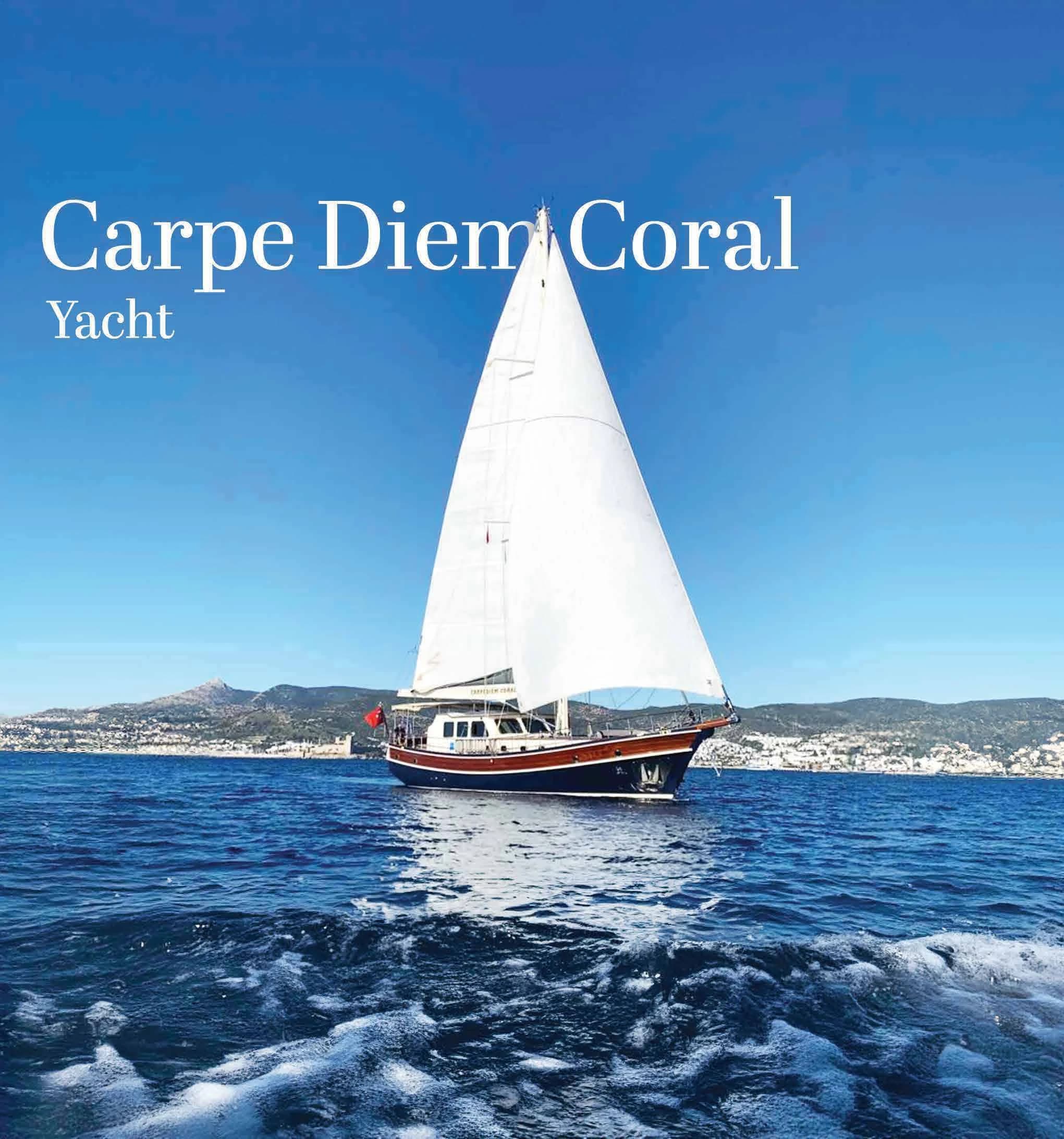 Carpe Diem Coral 24m Lüks Gulet - Fotoğraf 12