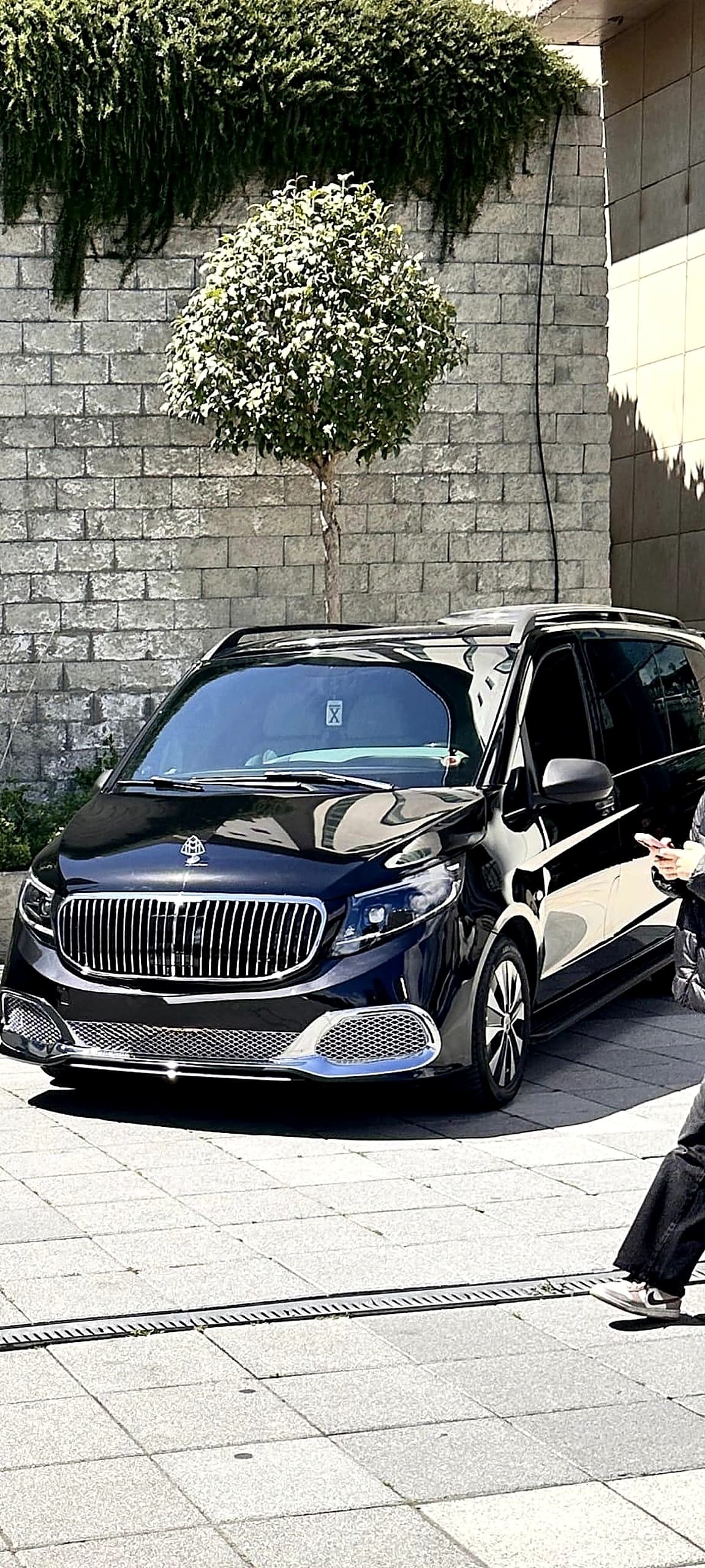 Bodrum VIP Vito Bodrum Tas Villa Onunde VIP Servis 25