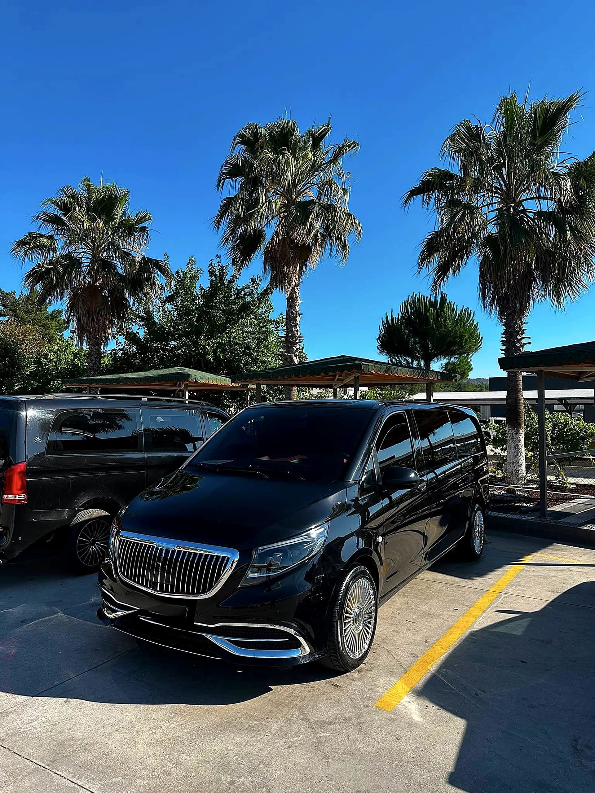 Bodrum VIP Vito Palmiye Ve Otel VIP Karsilama 06